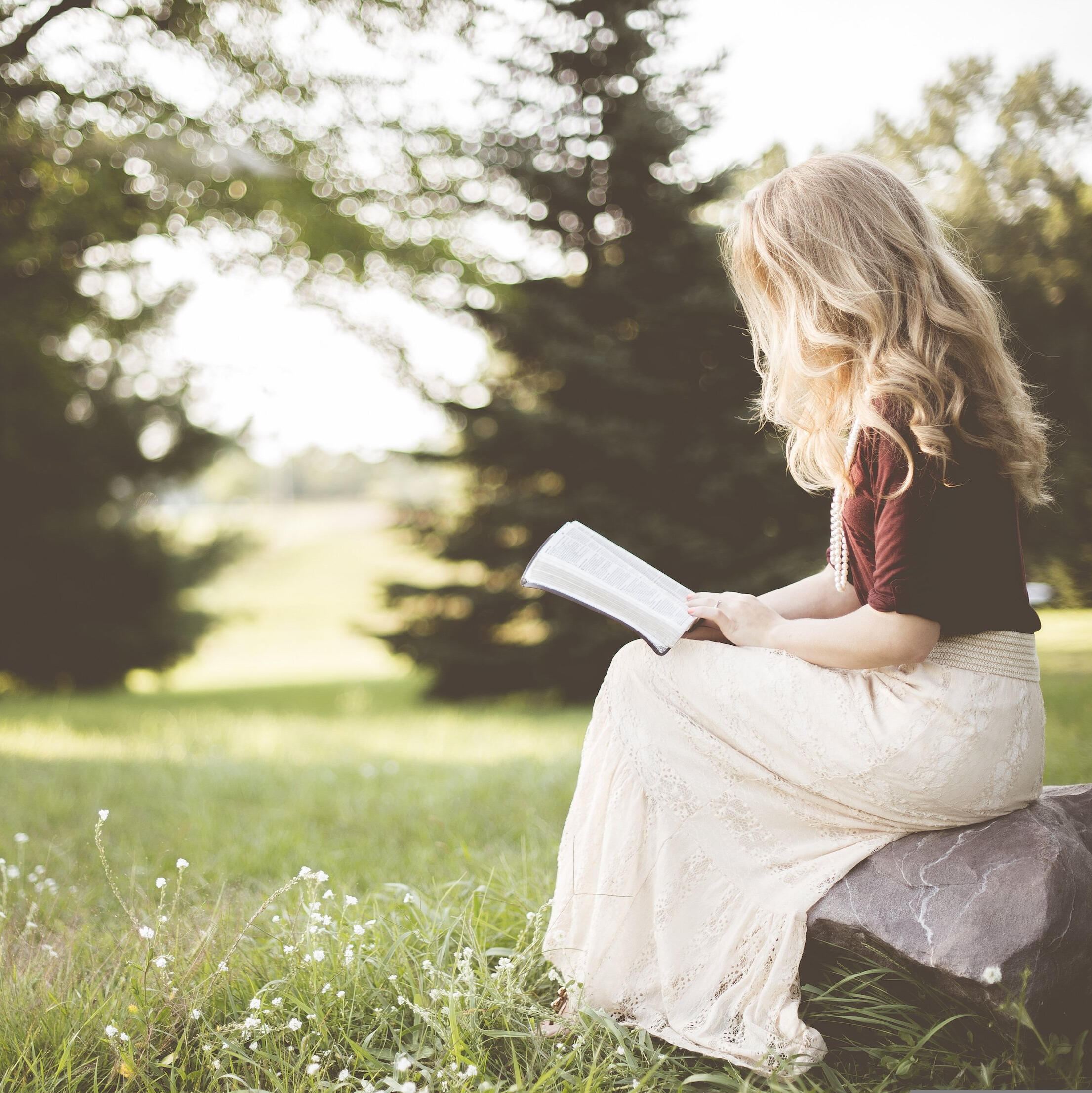 girl reading in meadow girl reading in meadow